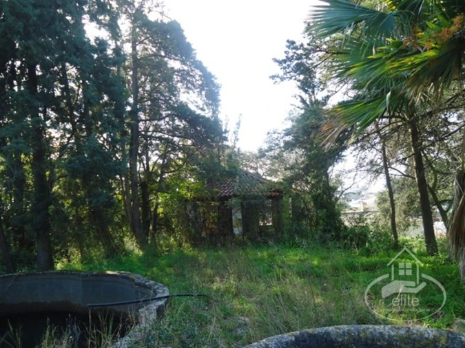 Quinta T14 para Venda em União das Freguesias de Setúbal Foto 87