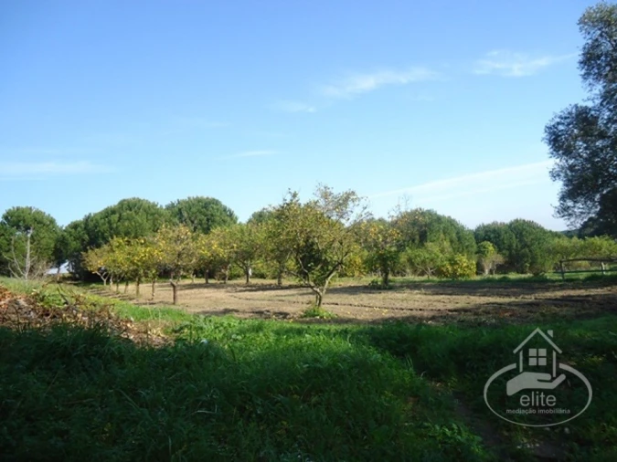 Quinta T14 para Venda em União das Freguesias de Setúbal Foto 91