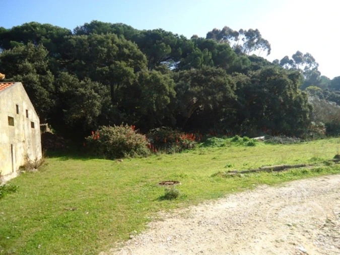 Quinta T14 para Venda em União das Freguesias de Setúbal Foto 98