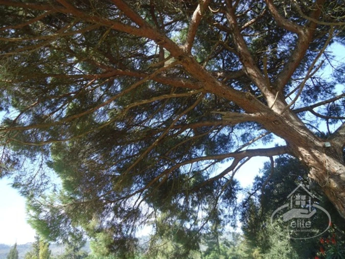 Quinta T14 para Venda em União das Freguesias de Setúbal Foto 133