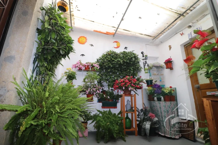 Prédio para Venda em Azeitão (São Lourenço e São Simão) Foto 2