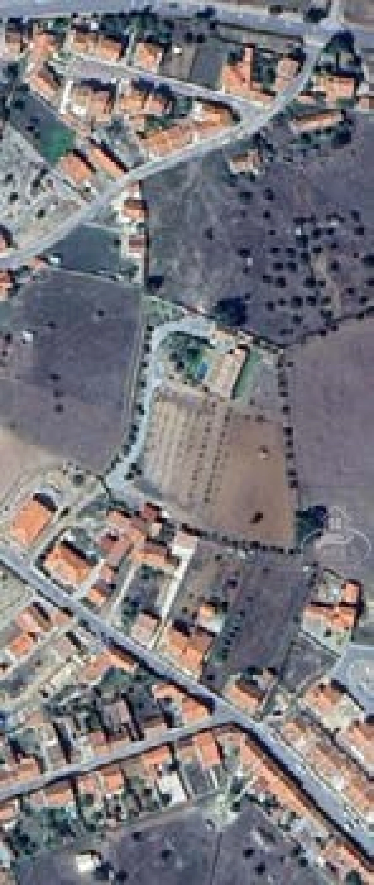 Terreno para Venda em São Luis Foto 5