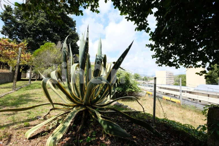Quinta T7 para Venda em Vila Nova de Famalicão e Calendário Foto 26