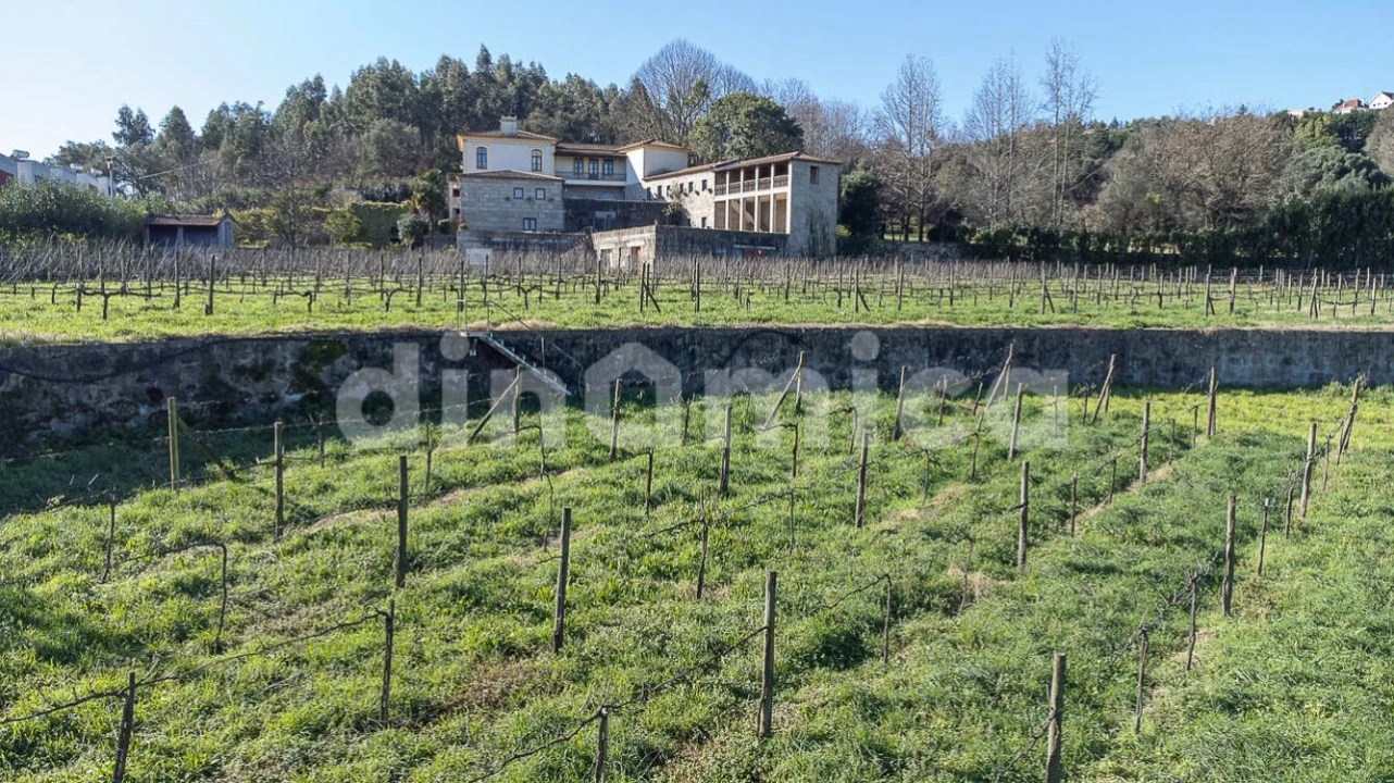 Quinta T4 para Venda em Cruz Foto 5