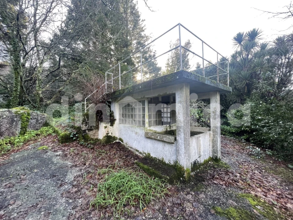 Quinta T3 para Venda em Costa Foto 11