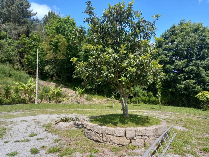 Quinta para Venda em Louredo Foto 24