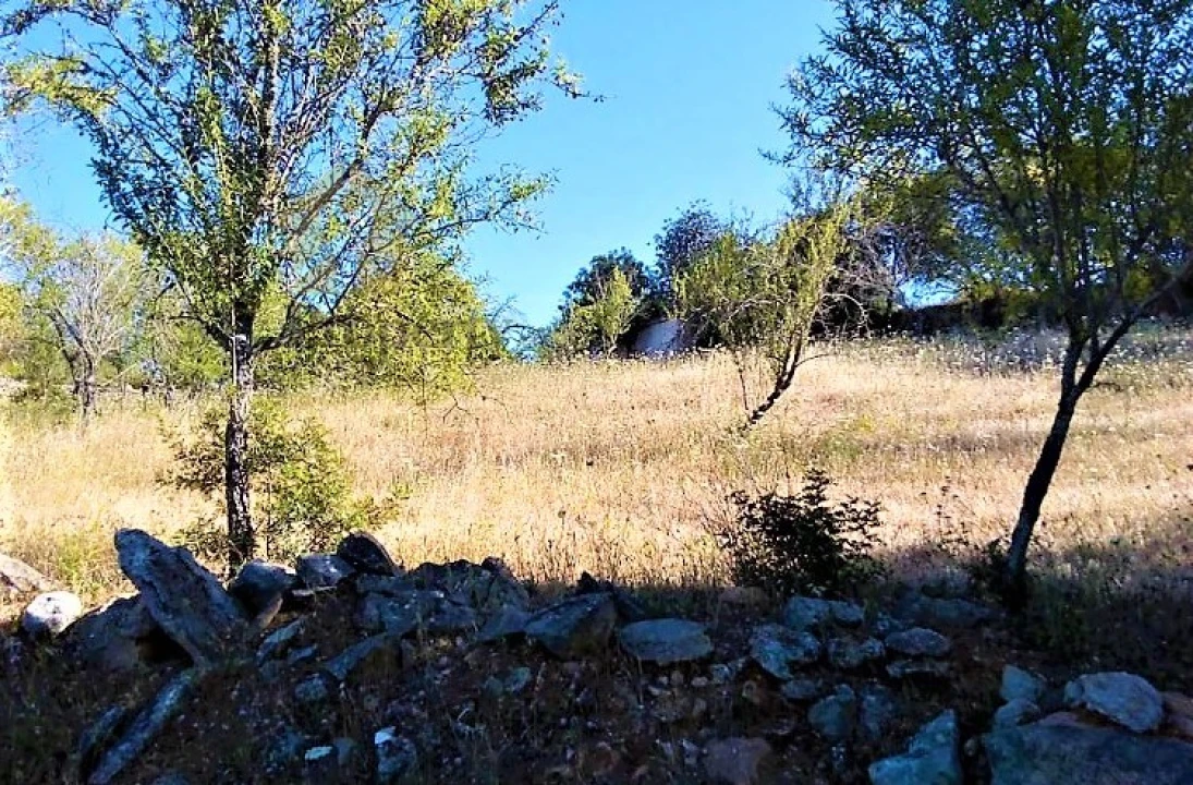 Terreno para Venda em Paderne Foto 6