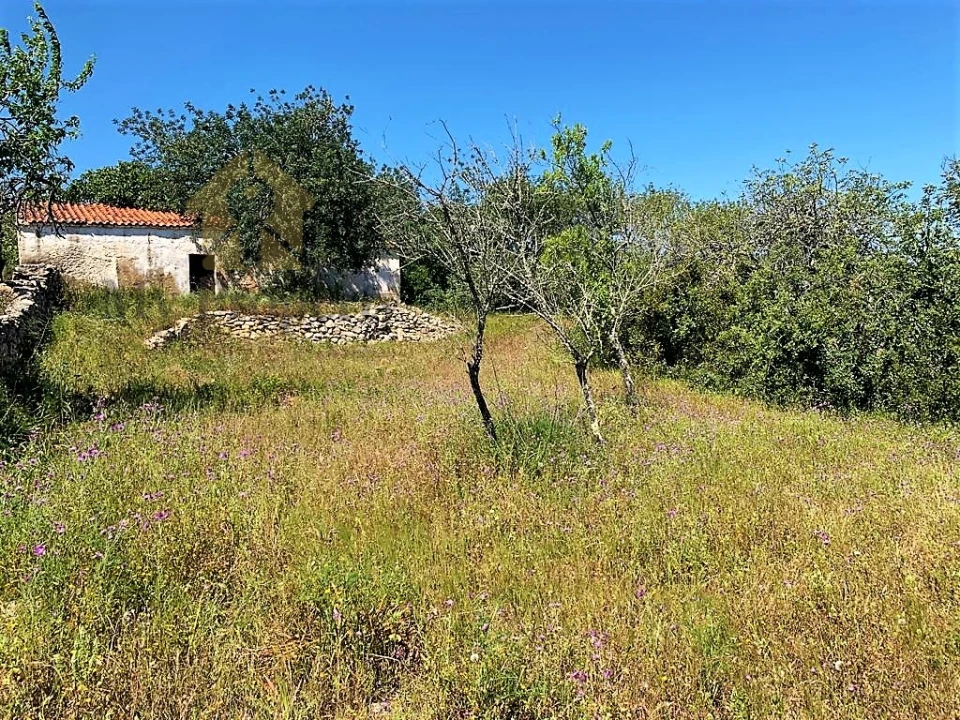Terreno para Venda em Paderne Foto 9
