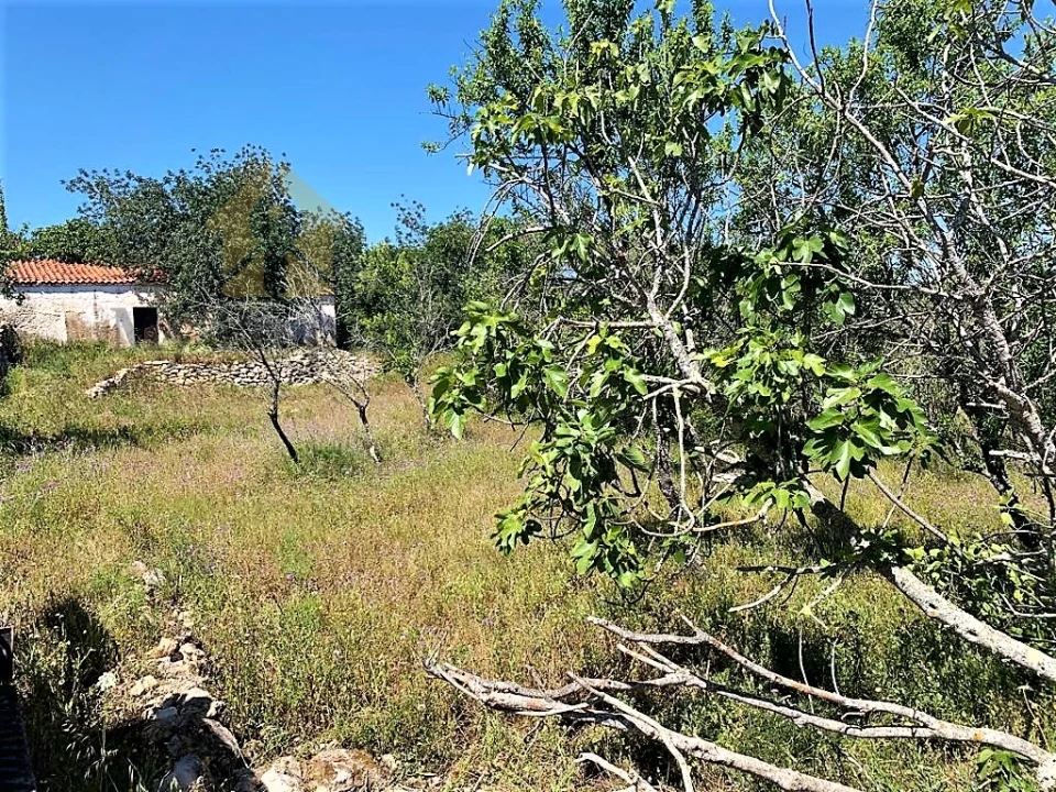 Terreno para Venda em Paderne Foto 11