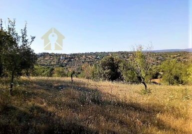 Terreno para Venda em Paderne