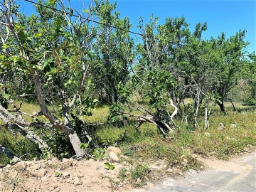 Terreno para Venda em Paderne