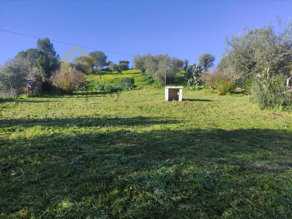 Quinta T3 para Venda em Garvão e Santa Luzia Foto 29