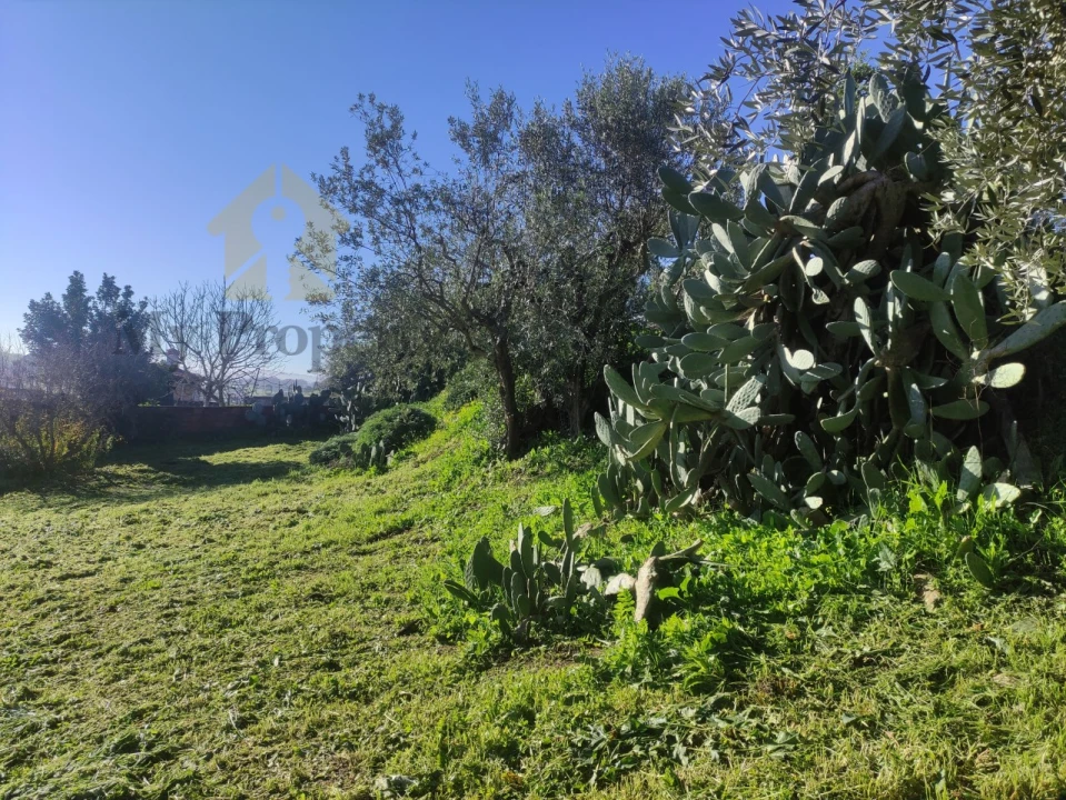 Quinta T3 para Venda em Garvão e Santa Luzia Foto 32