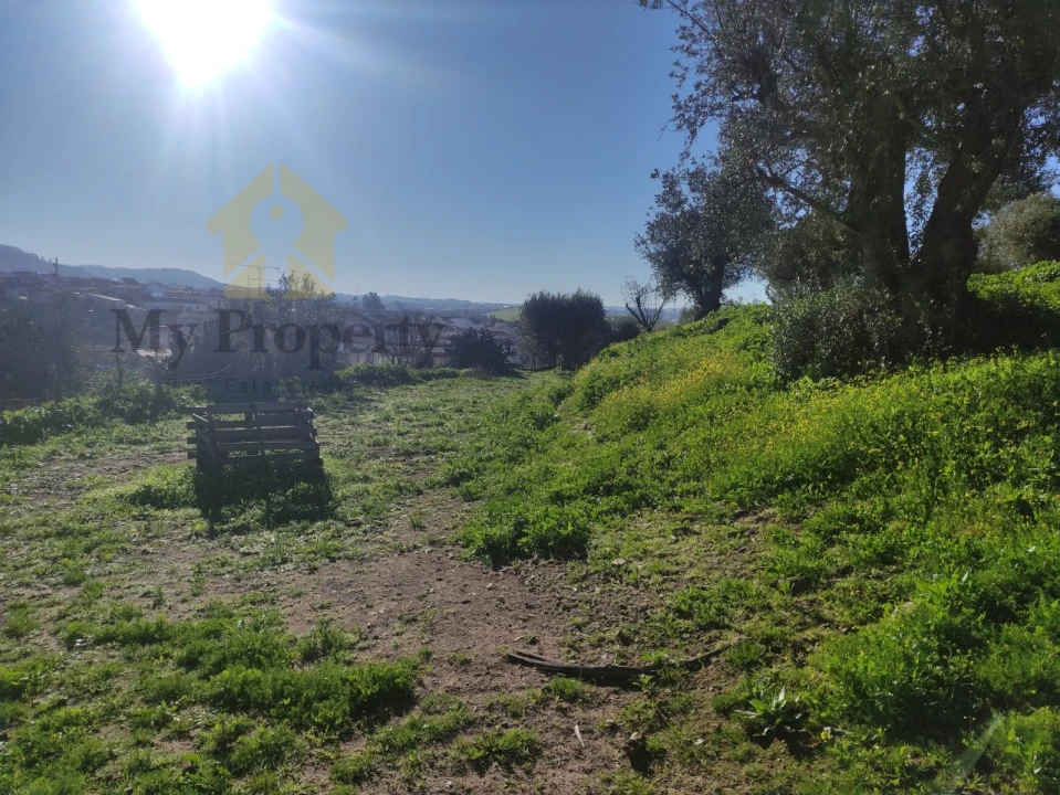 Quinta T3 para Venda em Garvão e Santa Luzia Foto 35