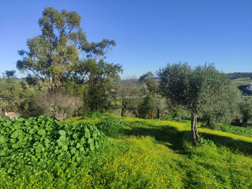 Quinta T3 para Venda em Garvão e Santa Luzia Foto 36