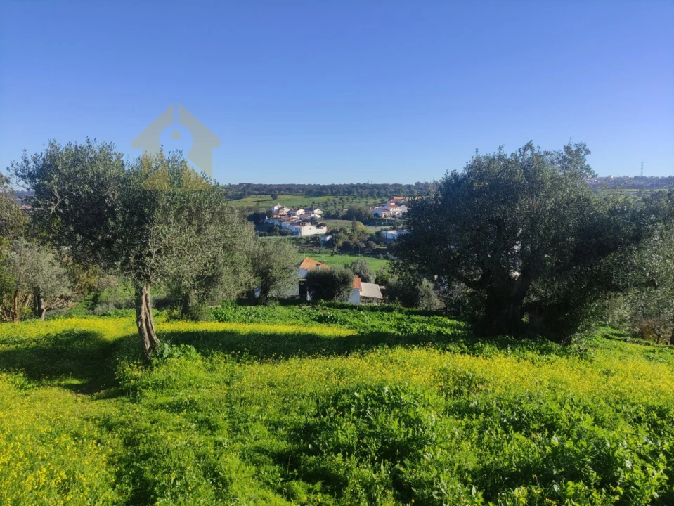 Quinta T3 para Venda em Garvão e Santa Luzia Foto 37