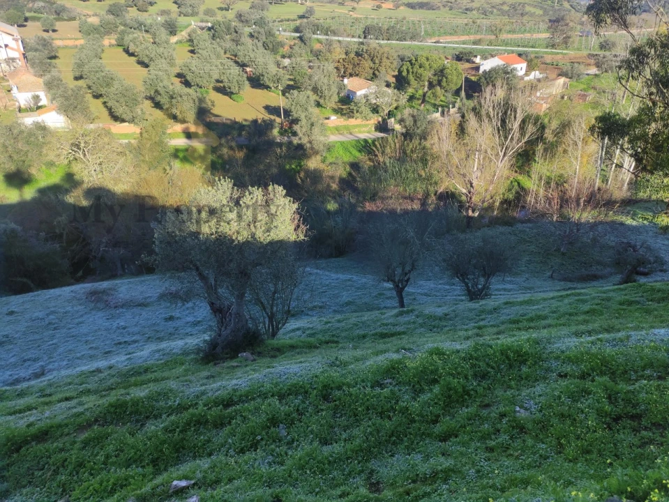 Quinta T3 para Venda em Garvão e Santa Luzia Foto 38