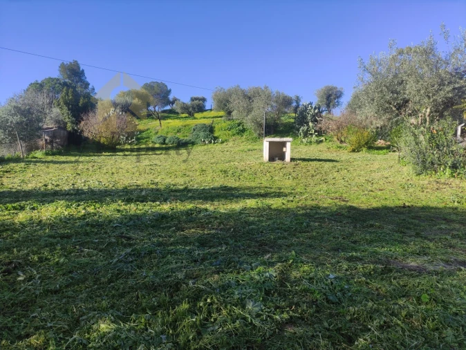 Quinta T3 para Venda em Garvão e Santa Luzia Foto 29