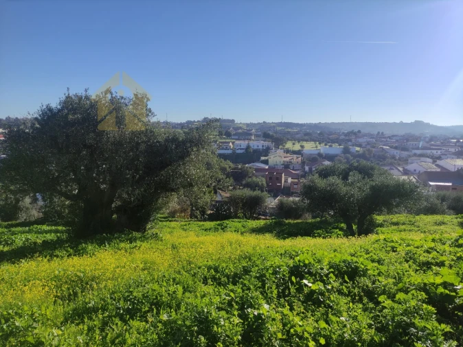 Quinta T3 para Venda em Garvão e Santa Luzia Foto 34