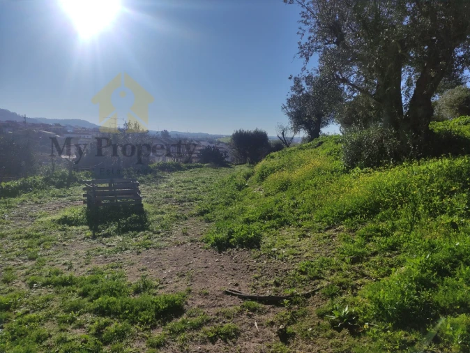 Quinta T3 para Venda em Garvão e Santa Luzia Foto 35