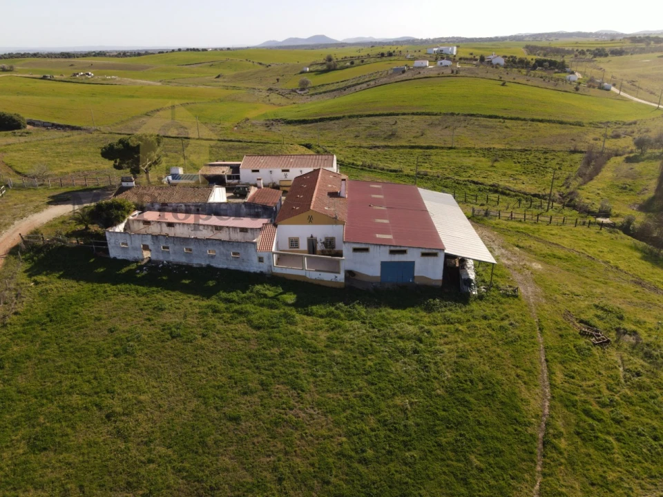 Quinta para Venda em Sobral da Adiça Foto 2