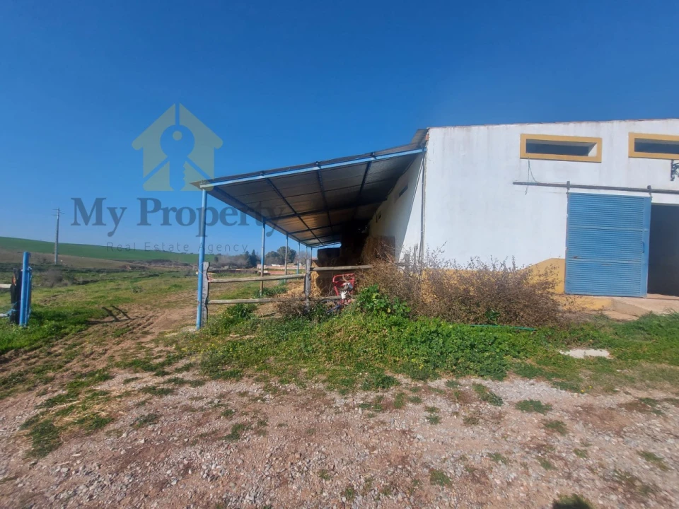 Quinta para Venda em Sobral da Adiça Foto 16