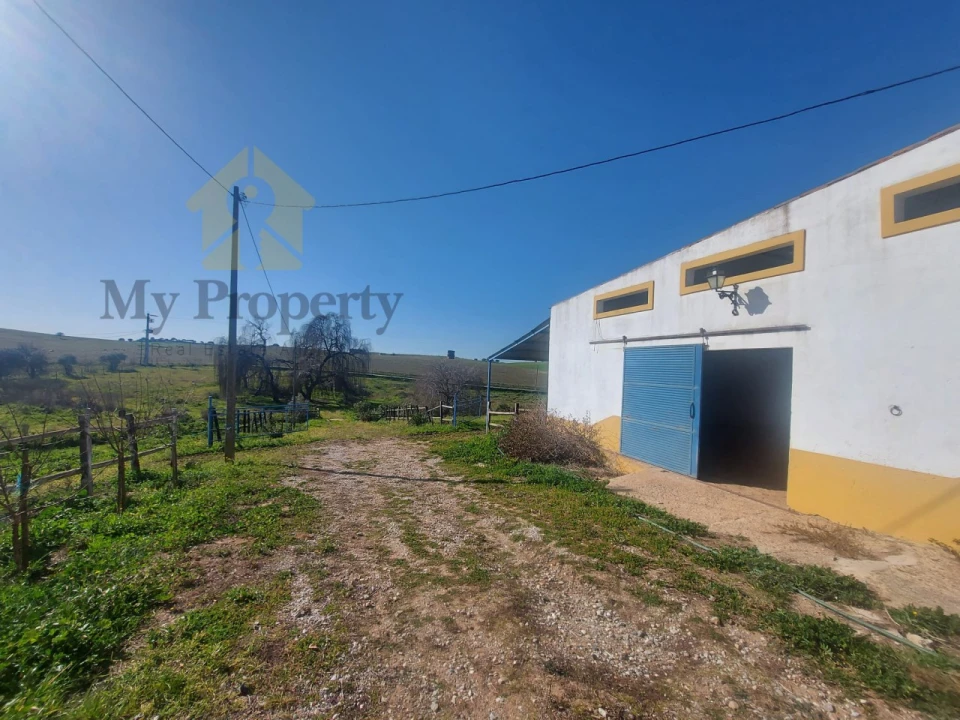 Quinta para Venda em Sobral da Adiça Foto 19