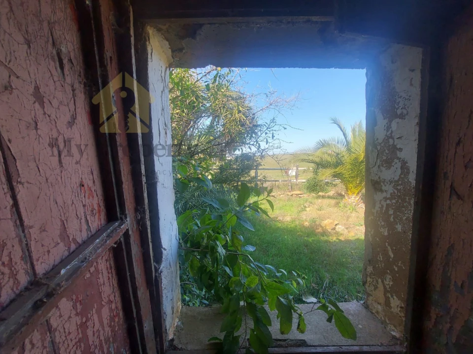 Quinta para Venda em Sobral da Adiça Foto 22