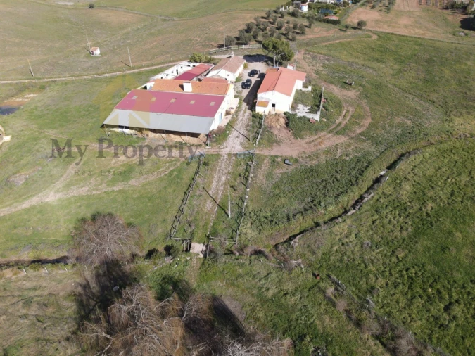 Quinta para Venda em Sobral da Adiça Foto 3