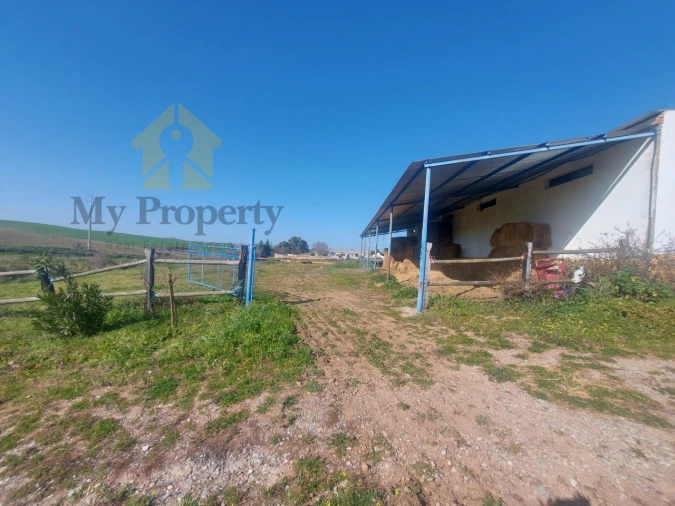 Quinta para Venda em Sobral da Adiça Foto 12