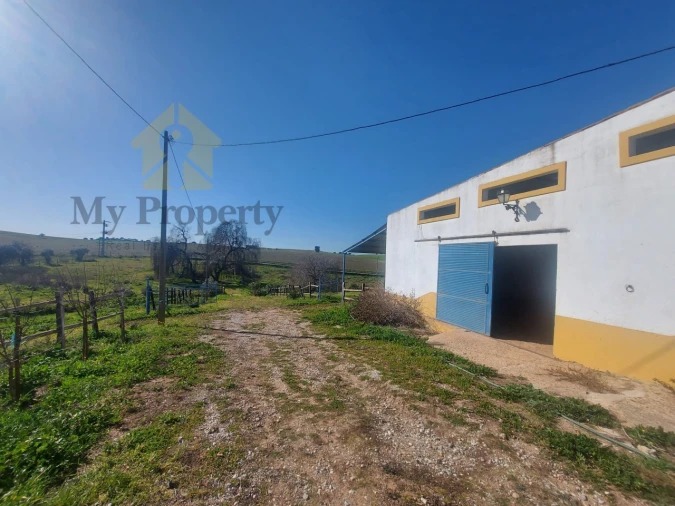 Quinta para Venda em Sobral da Adiça Foto 19