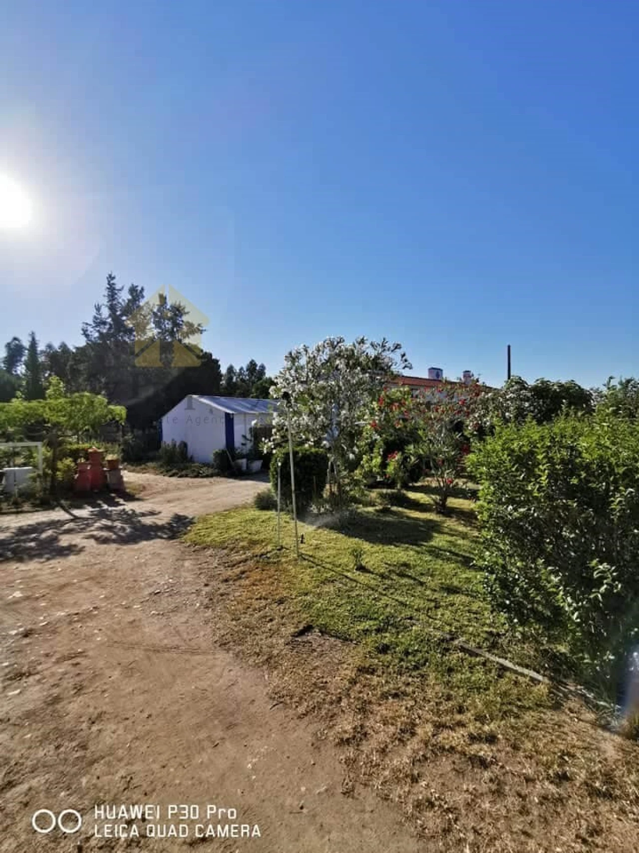 Moradia T8 para Venda em Melides Foto 3