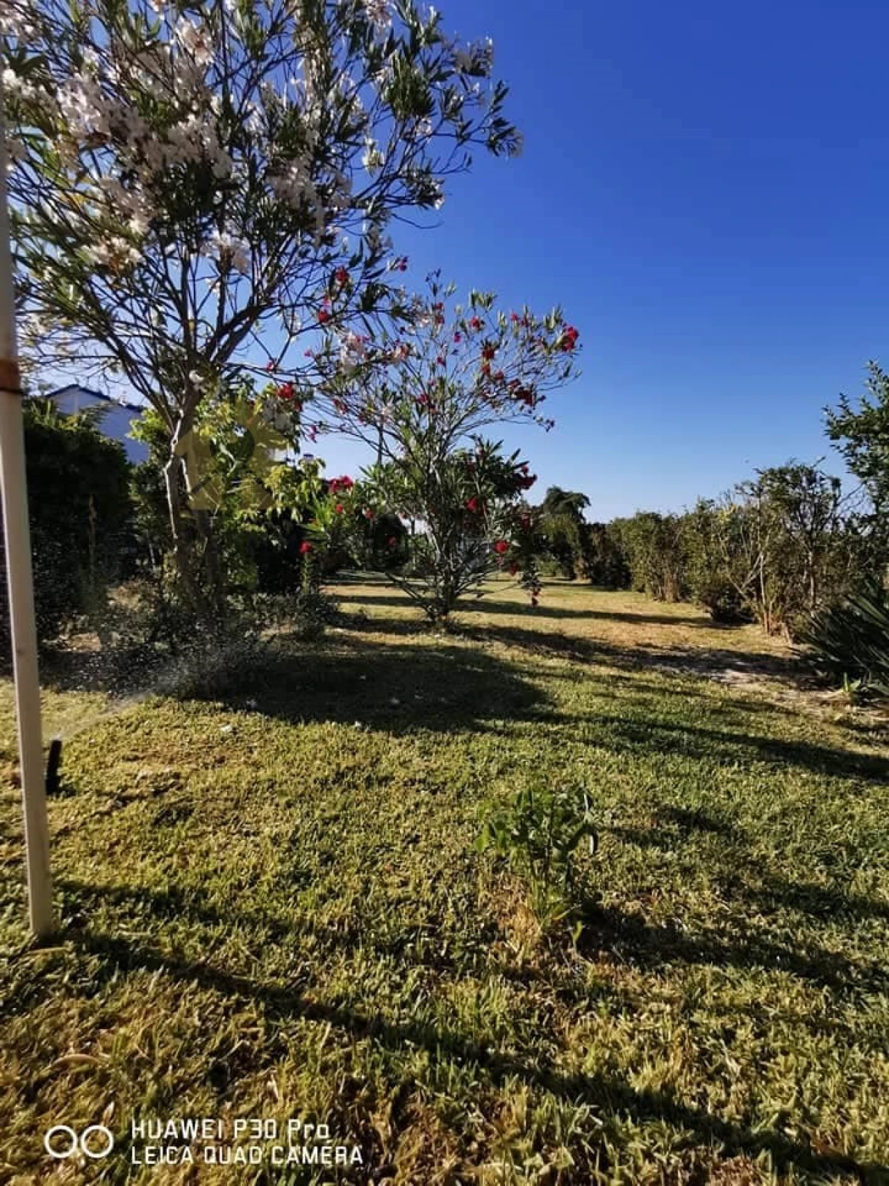 Moradia T8 para Venda em Melides Foto 4