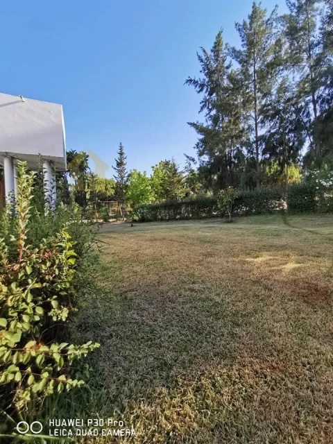 Moradia T8 para Venda em Melides