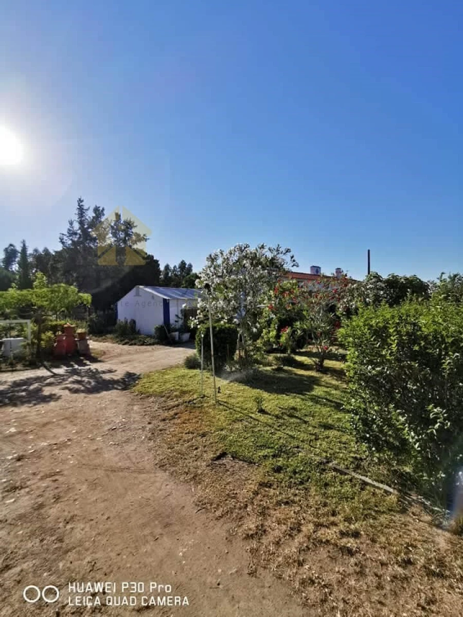 Moradia T8 para Venda em Melides Foto 3