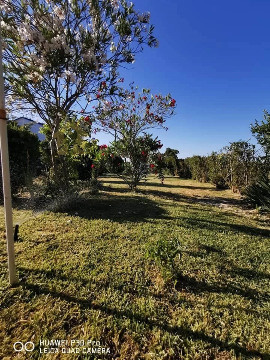 Moradia T8 para Venda em Melides Foto 4