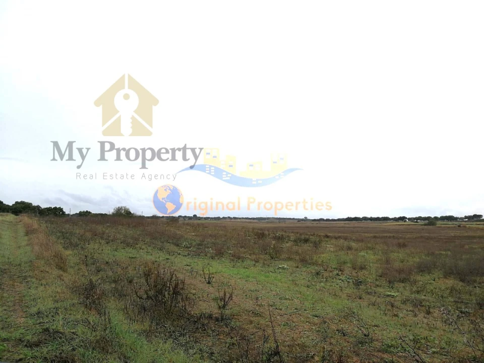 Terreno para Venda em Figueira dos Cavaleiros Foto 3