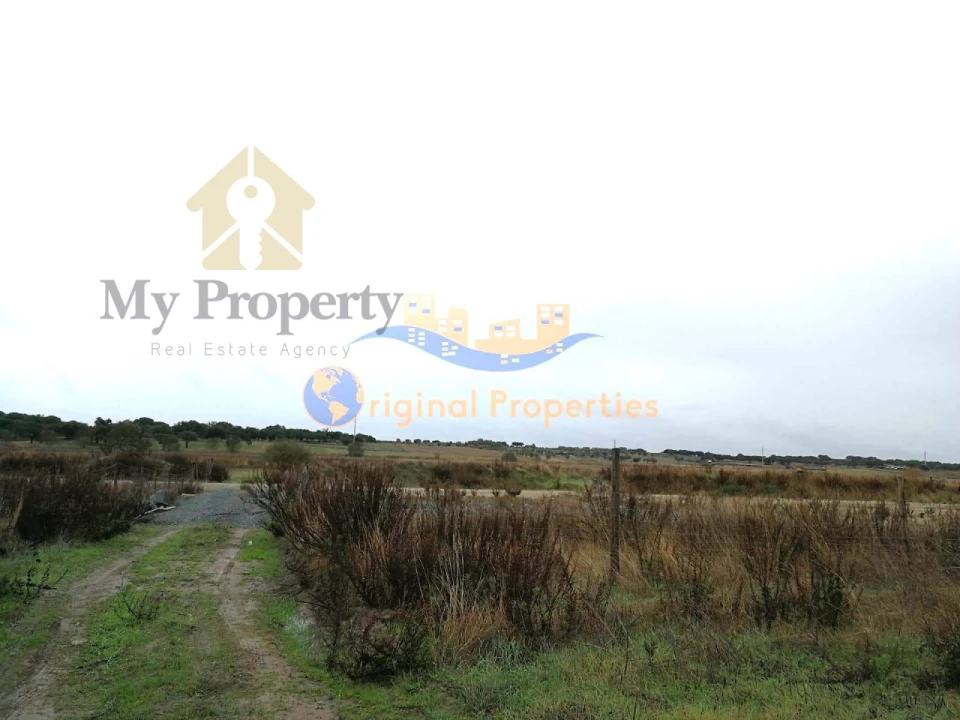 Terreno para Venda em Figueira dos Cavaleiros Foto 7