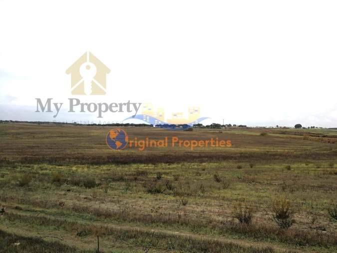 Terreno para Venda em Figueira dos Cavaleiros Foto 1