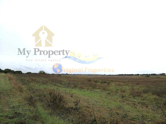 Terreno para Venda em Figueira dos Cavaleiros Foto 3