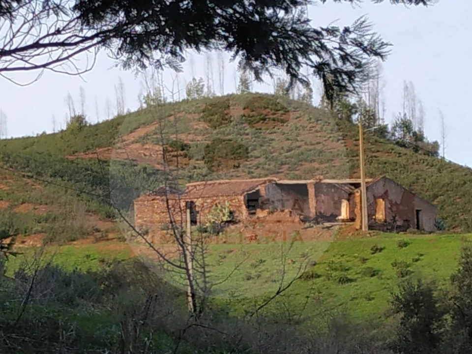 Quinta T5 para Venda em Saboia Foto 10