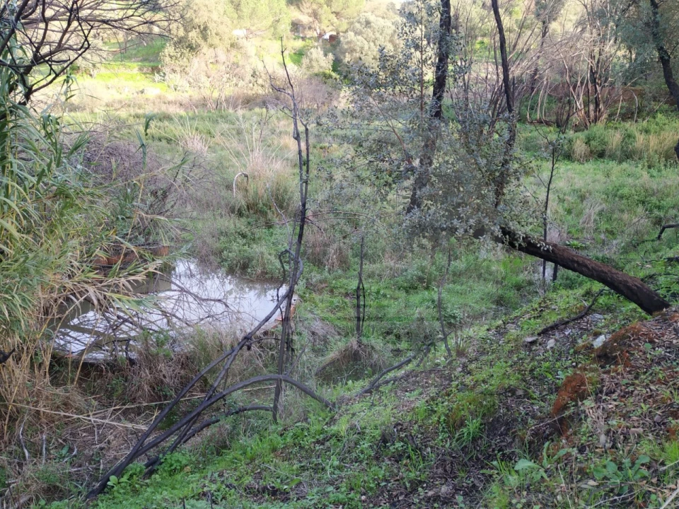 Quinta T5 para Venda em Saboia Foto 6