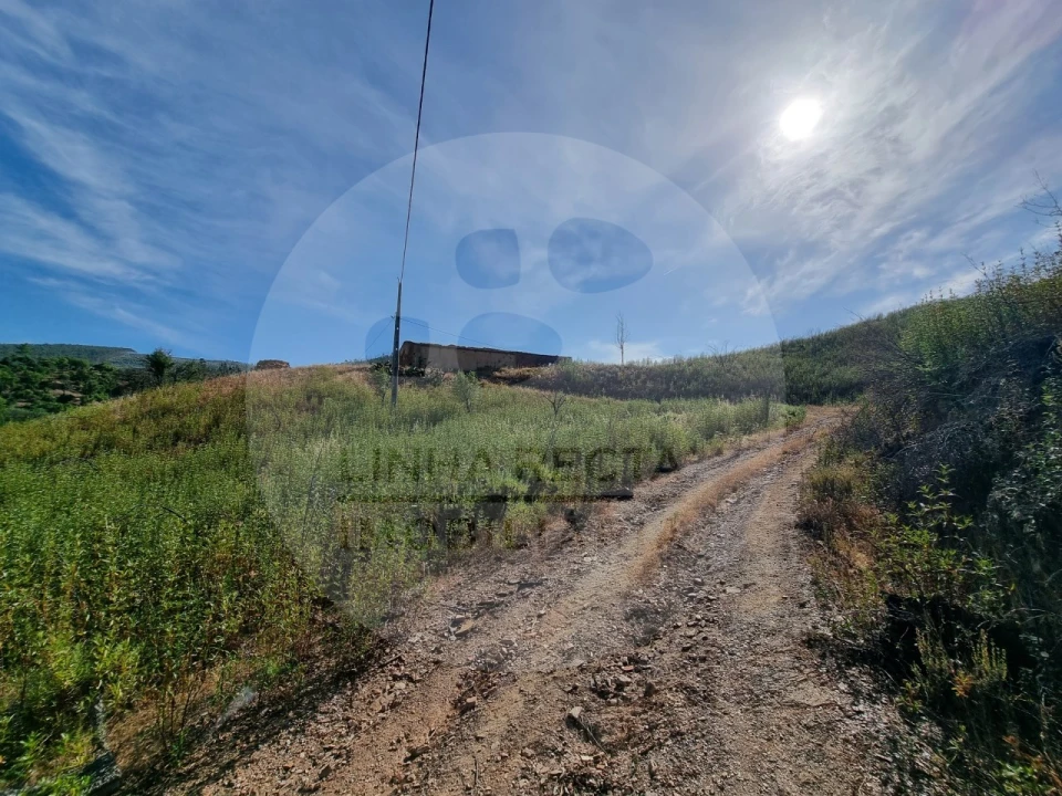 Quinta T5 para Venda em Saboia Foto 2