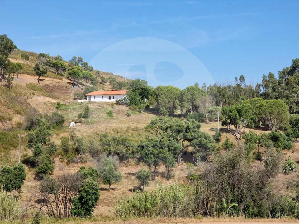 Quinta T5 para Venda em Saboia Foto 7