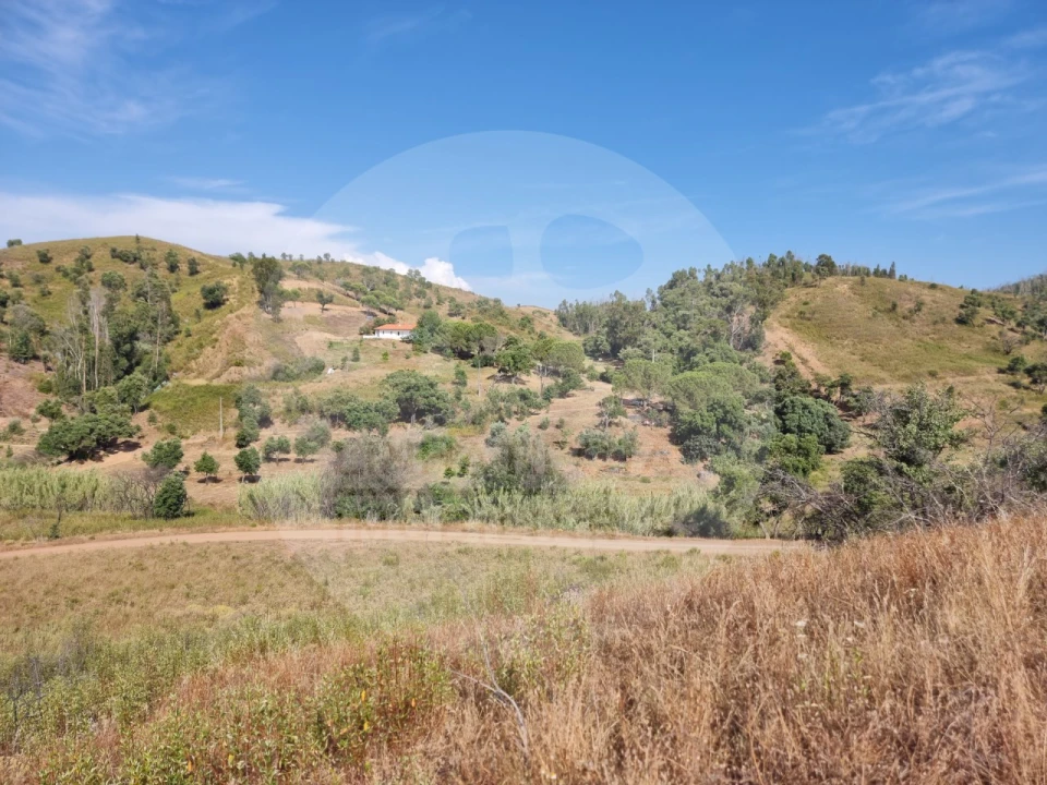 Quinta T5 para Venda em Saboia Foto 3