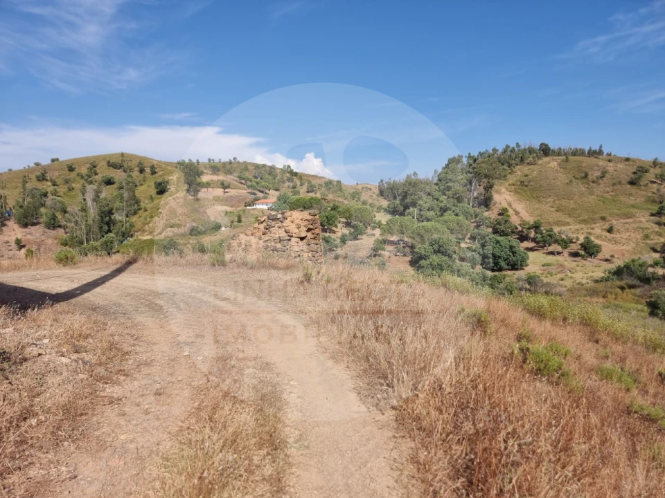 Quinta T5 para Venda em Saboia Foto 21