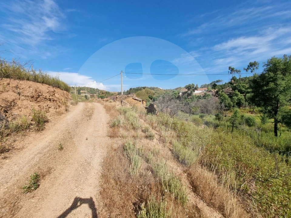 Quinta T5 para Venda em Saboia Foto 37