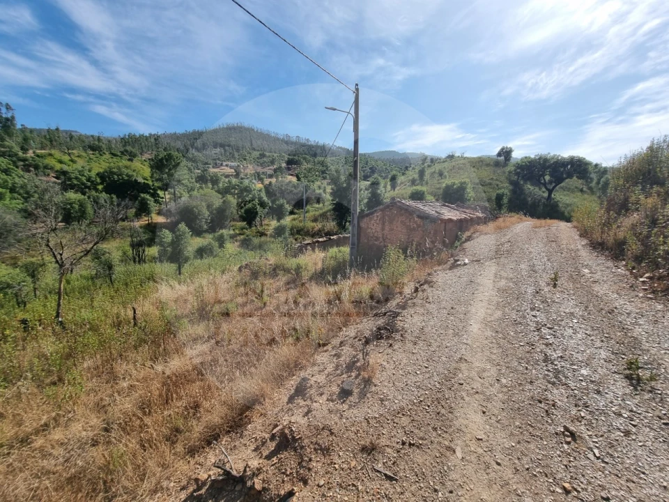 Quinta T5 para Venda em Saboia Foto 38