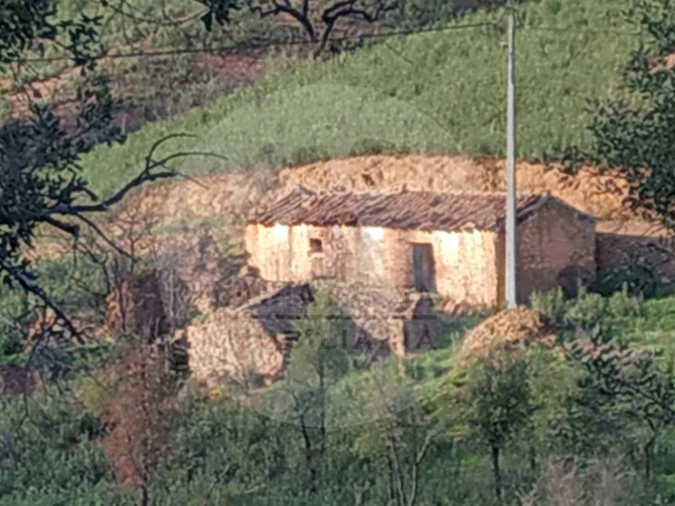 Quinta T5 para Venda em Saboia Foto 13