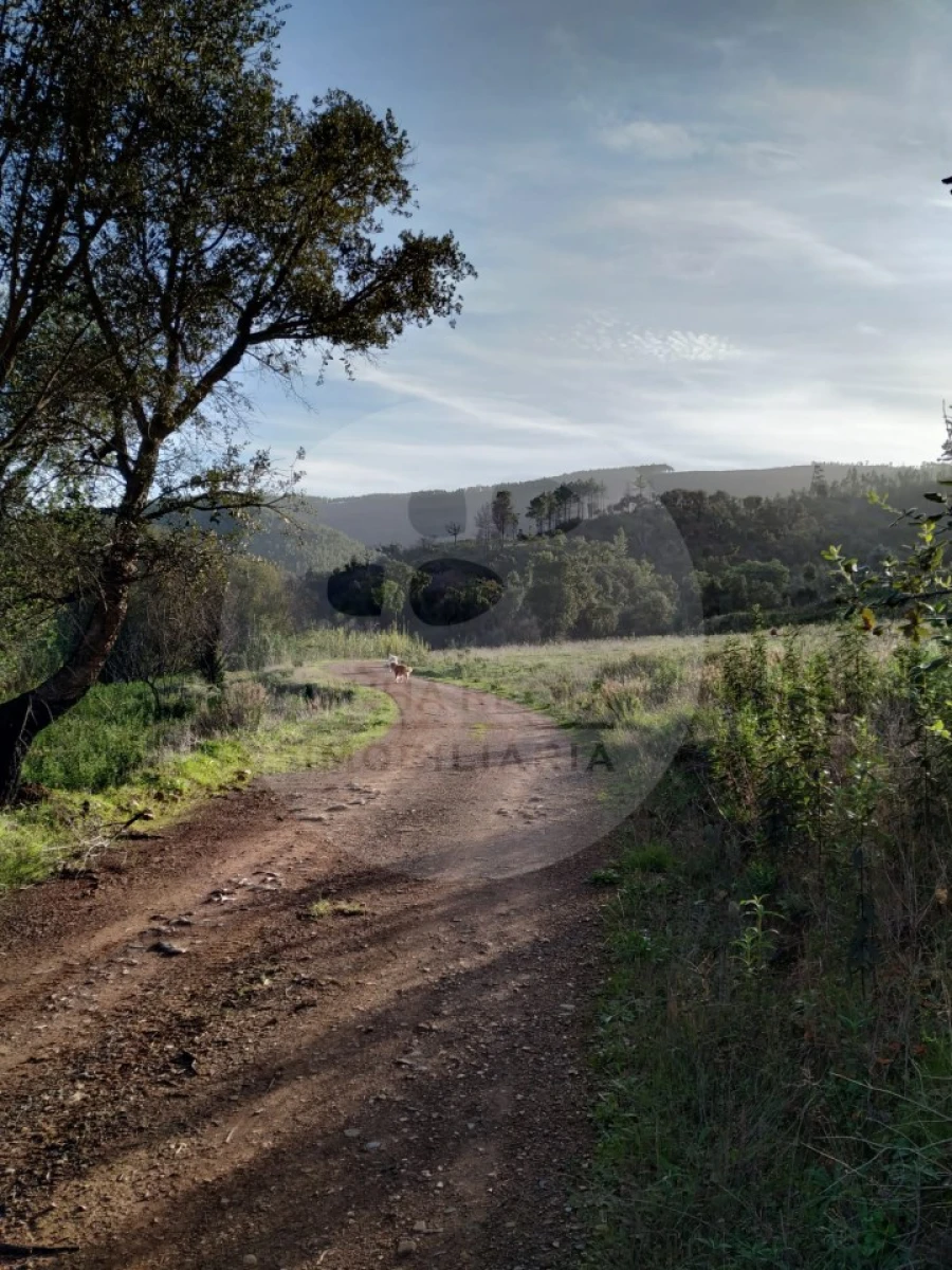 Quinta T5 para Venda em Saboia Foto 14